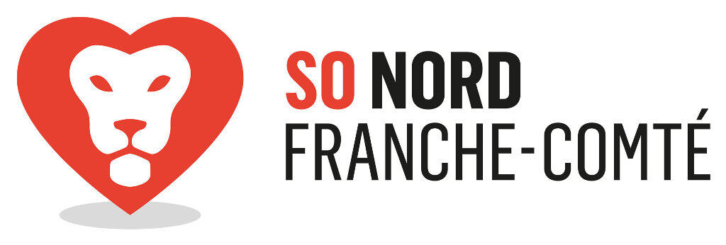 À la Confluence de l'Industrie et de l'Innovation : Le Territoire d'Industrie Nord Franche-Comté